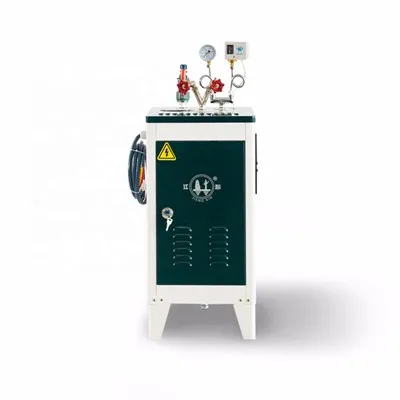 Commercial Steam Generator